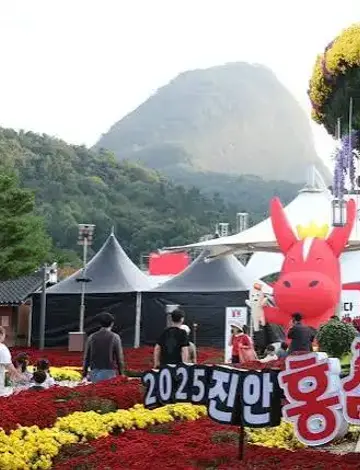 진안홍삼축제