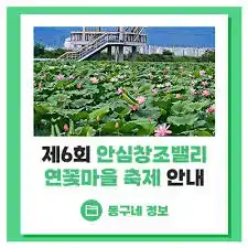 안심창조밸리 연꽃마을 축제
