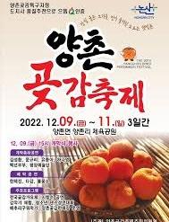 2025 양촌곶감축제