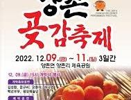 2025 양촌곶감축제