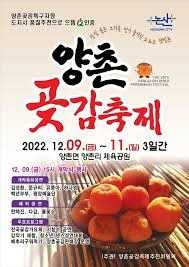 2025 양촌곶감축제