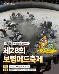 제28회 보령머드축제