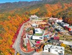 팔공산 단풍축제