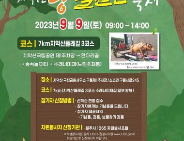 치악산왕발걸음축제