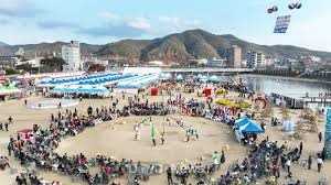 청송사과축제