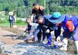 북쪽하늘아래 산촌산나물축제