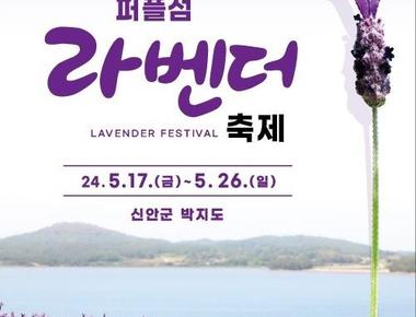 라벤더 축제