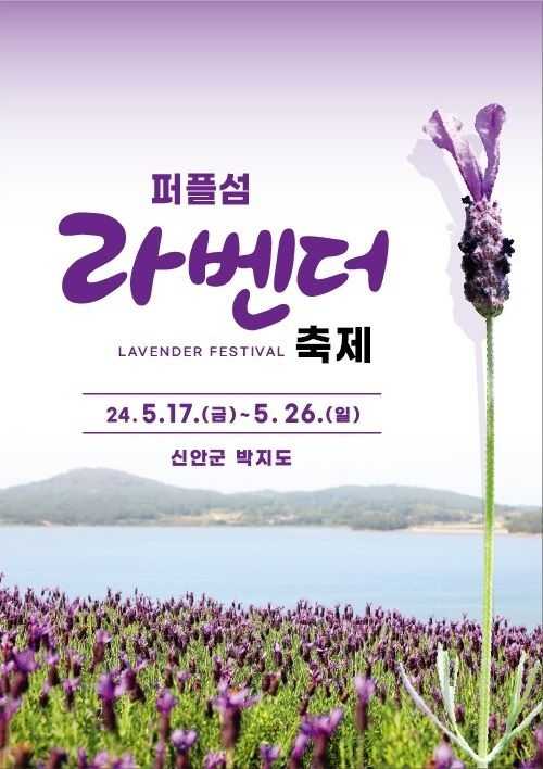 라벤더 축제