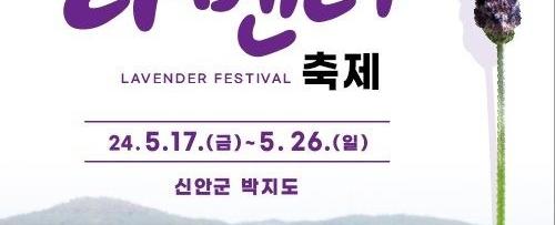 라벤더 축제