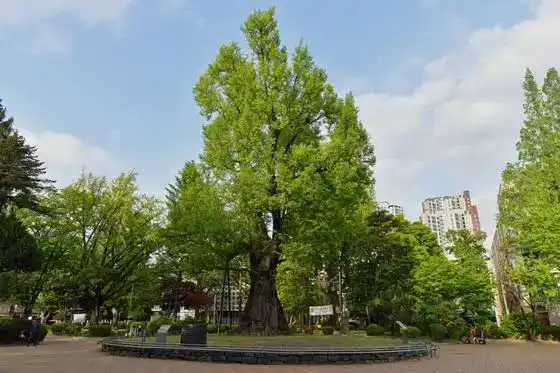 국가유산 미디어아트