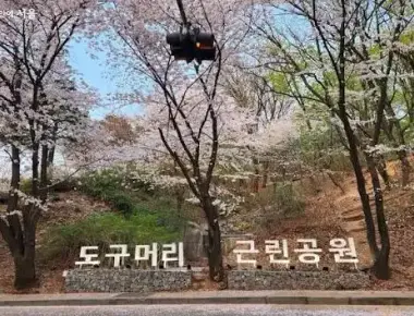 도구로 가을 축제