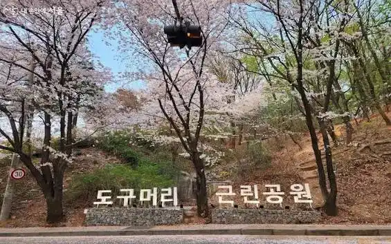도구로 가을 축제