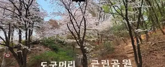 도구로 가을 축제