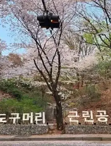 도구로 가을 축제
